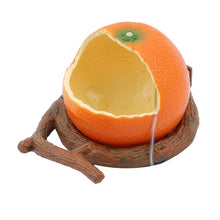 Load image into Gallery viewer, Funny Fruit Shape
